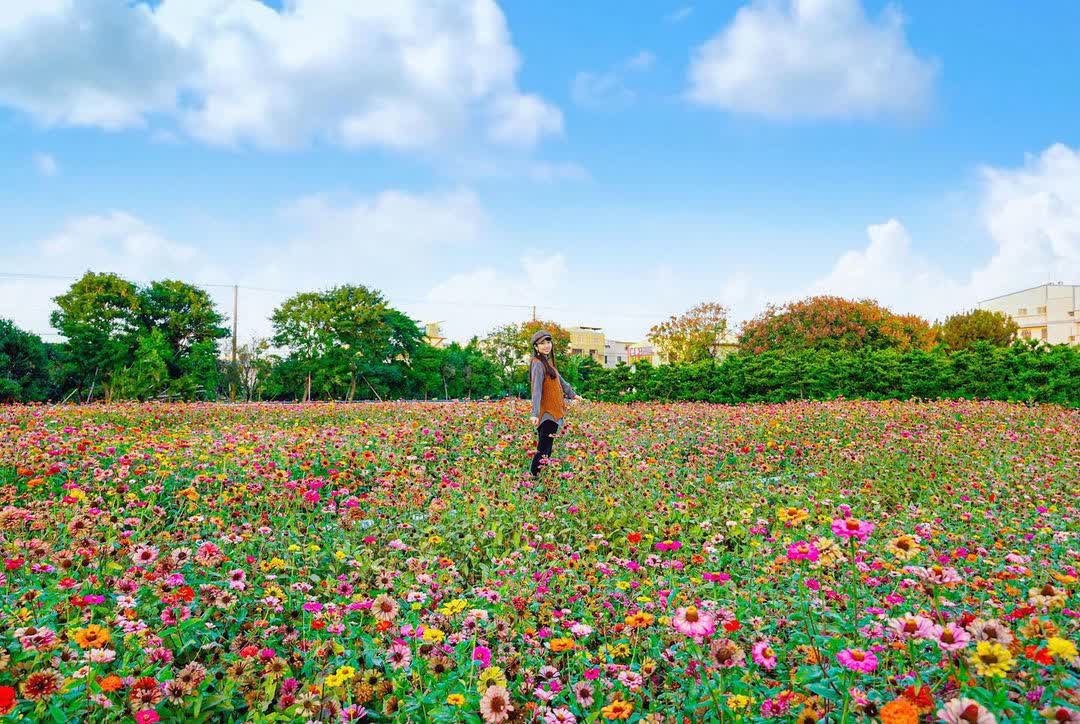 田尾公路花園 | 去趣 chicTrip