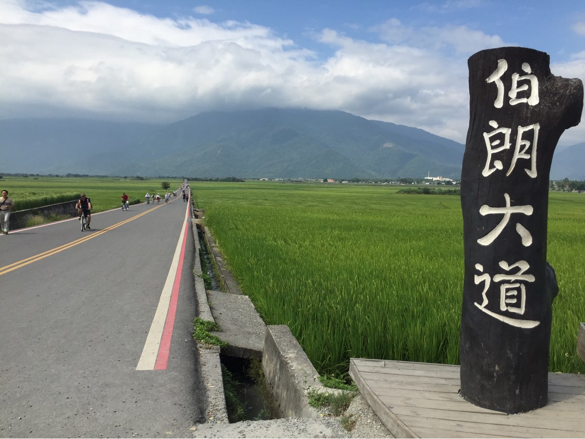 臺東池上錦新三號道路 伯朗大道 | 去趣 chicTrip