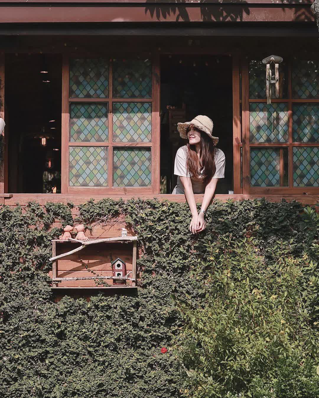 南庄橄欖樹 | 咖啡廳 ‧ 民宿 | Olive Tree Guesthouse & Café | 去趣 chicTrip