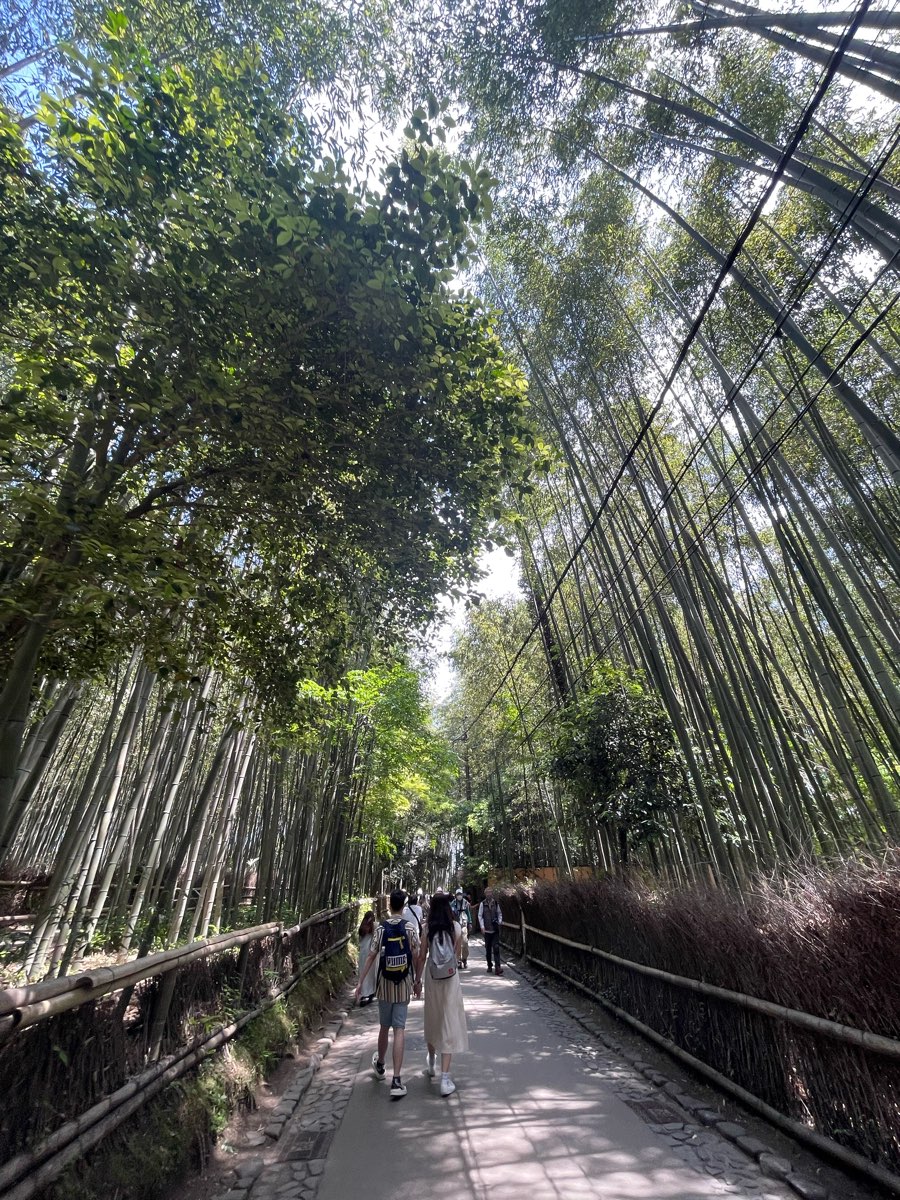 嵐山竹林小徑 | 去趣 chicTrip