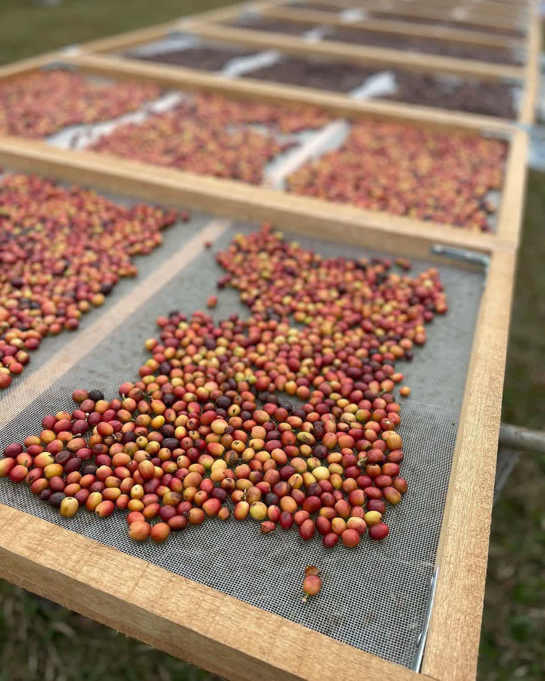 向山行政暨遊客中心 | 去趣 chicTrip