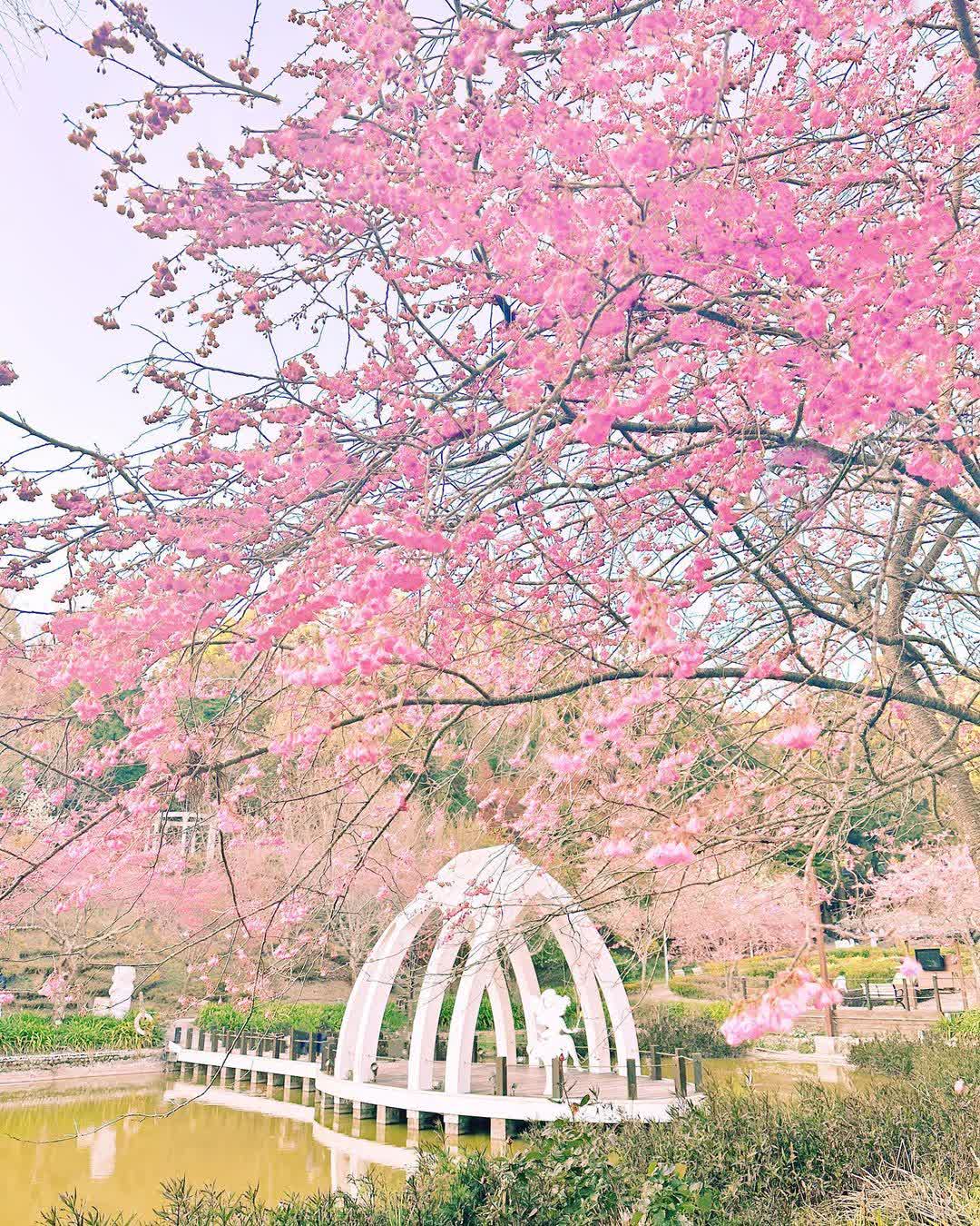 清境農場小瑞士花園 | 去趣 chicTrip