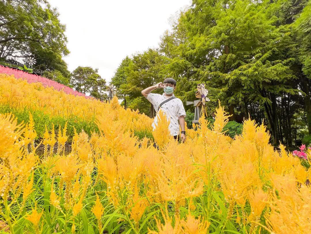 薰衣草森林台中新社店 | 去趣 chicTrip