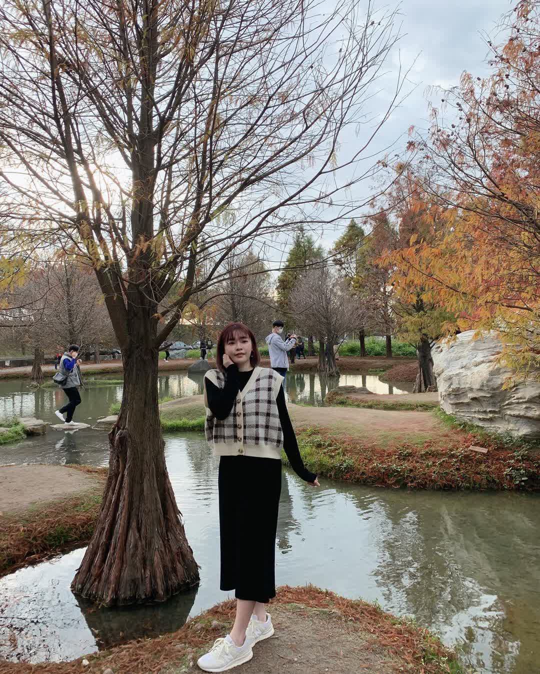 青埔落羽松秘境 | 去趣 chicTrip