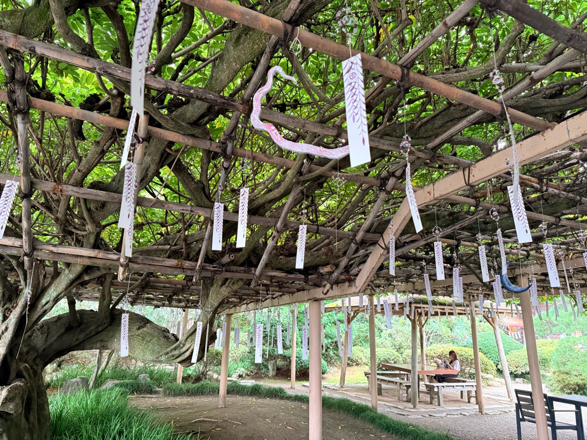 金蛇水神社 | 去趣 chicTrip