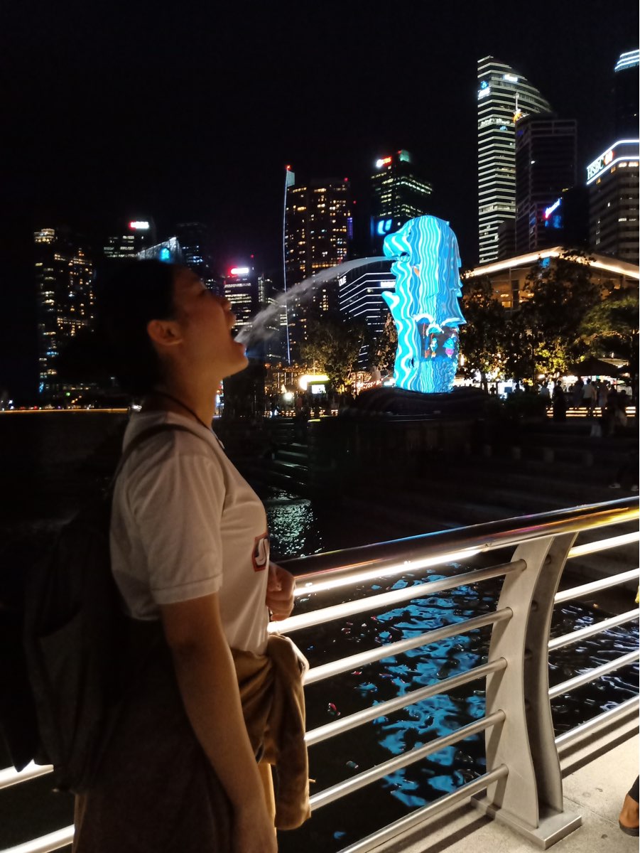 魚尾獅公園 | 去趣 chicTrip