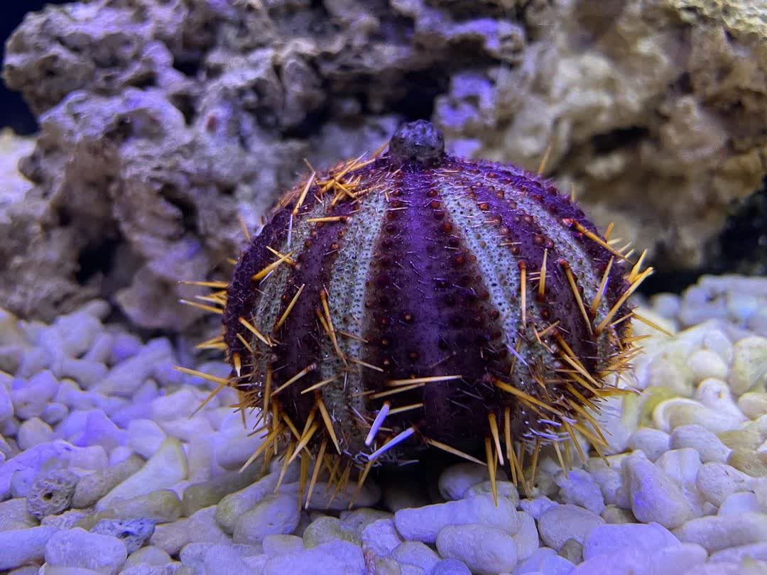 金車生技水產養殖研發中心 | 去趣 chicTrip