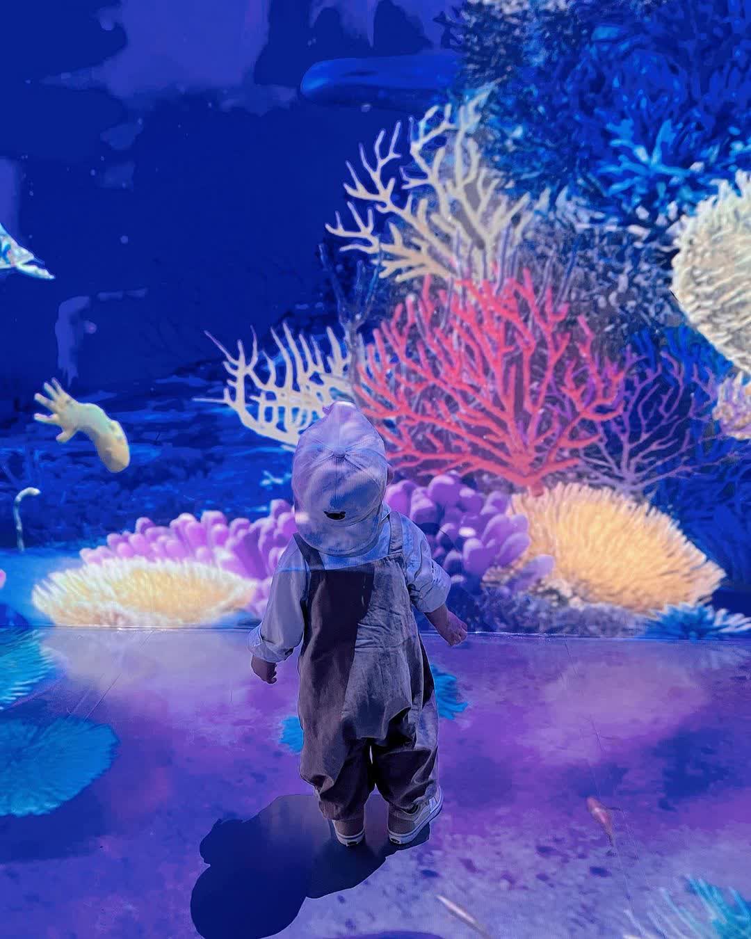 Xpark 水族館 | 去趣 chicTrip