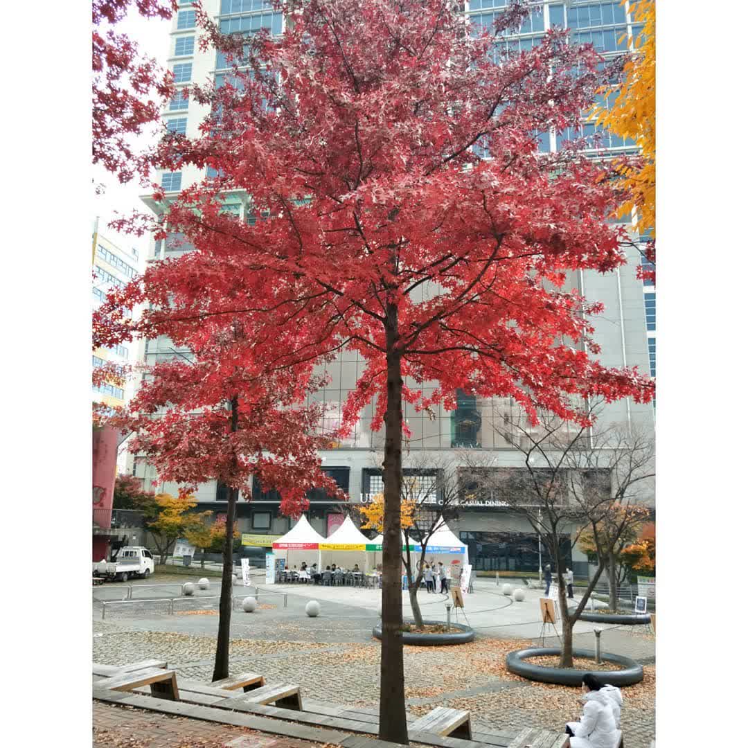 梨花女子大學 | 去趣 chicTrip