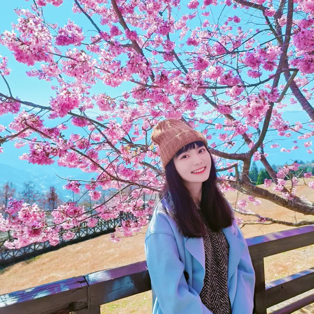 清境農場青青草原 | 去趣 chicTrip