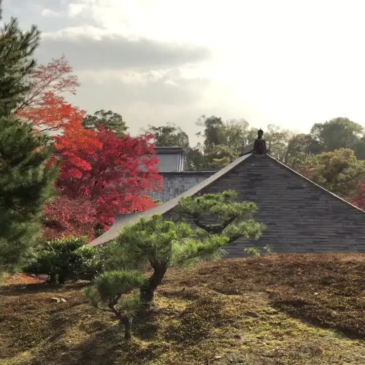 Kinkaku-ji | 去趣 chicTrip