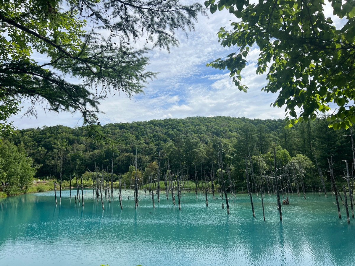 白金青池 | 去趣 chicTrip