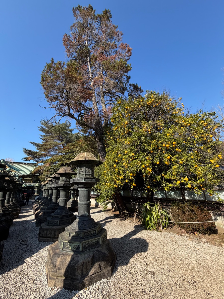 上野東照宮 | 去趣 chicTrip