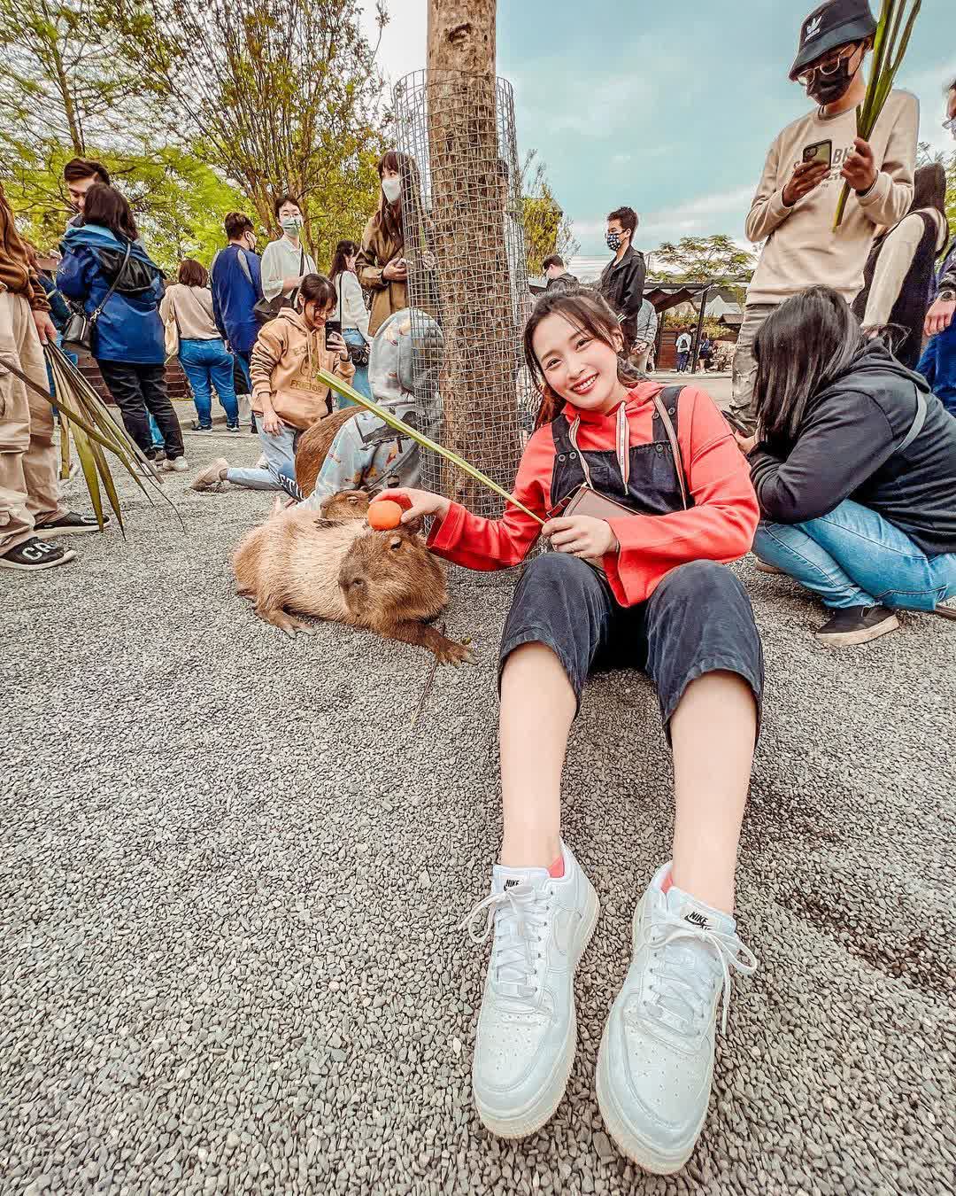 張美阿嬤農場（月森甯手作工坊） | 去趣 chicTrip