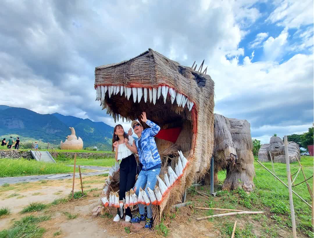 富里花海景觀區  (花蓮縣富里鄉農會旁) | 去趣 chicTrip