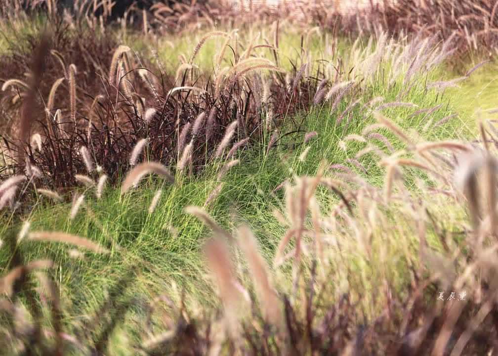 望幽 谷 | 去趣 chicTrip