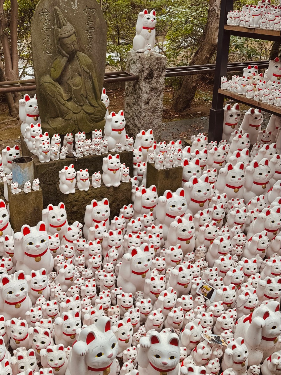 世田谷 豪德寺 | 去趣 chicTrip