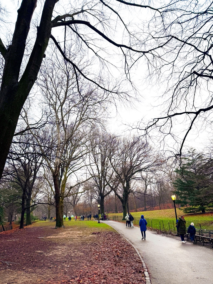 中央公園 | 去趣 chicTrip