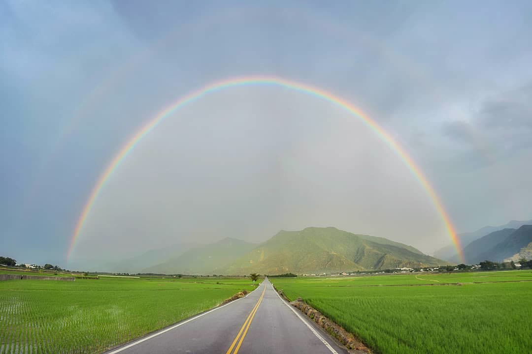 臺東池上錦新三號道路 伯朗大道 | 去趣 chicTrip