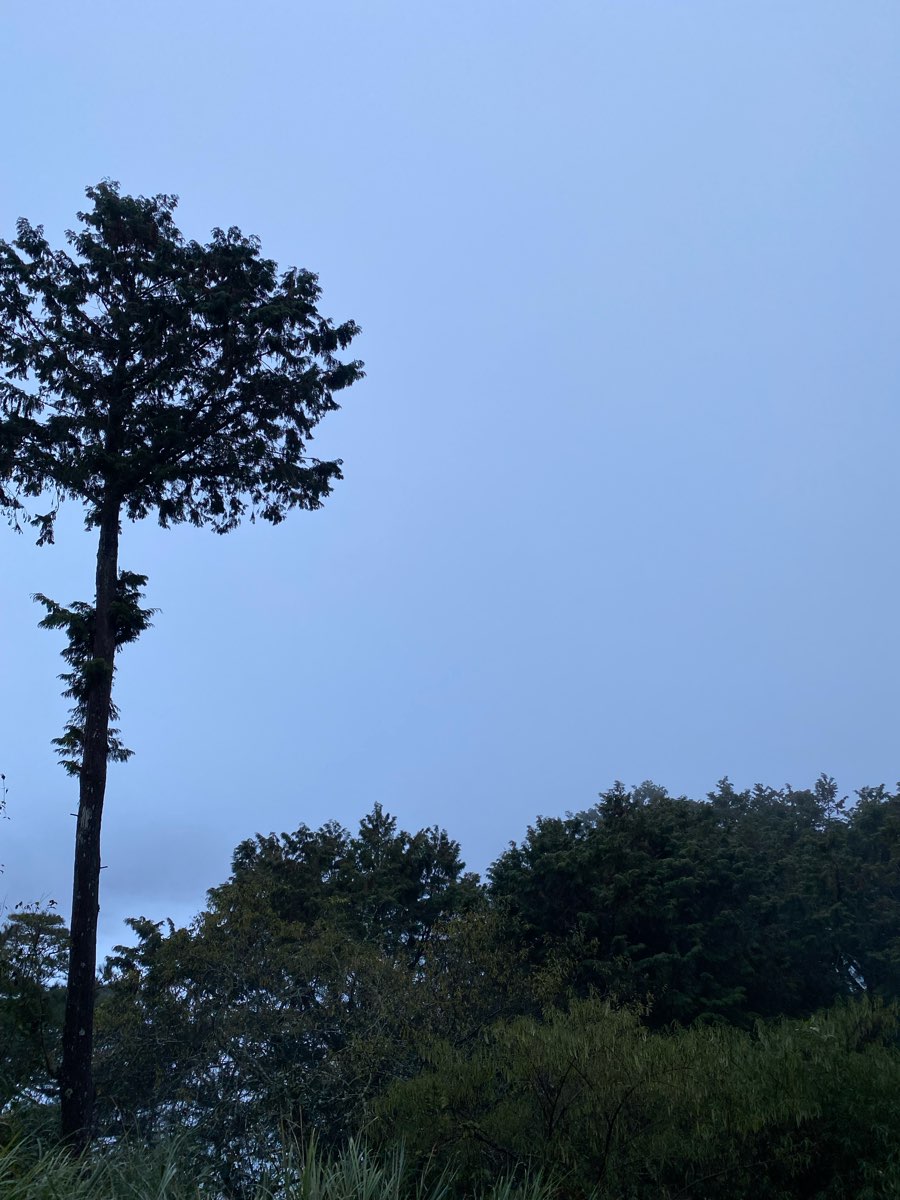 祝山觀日平臺 | 去趣 chicTrip