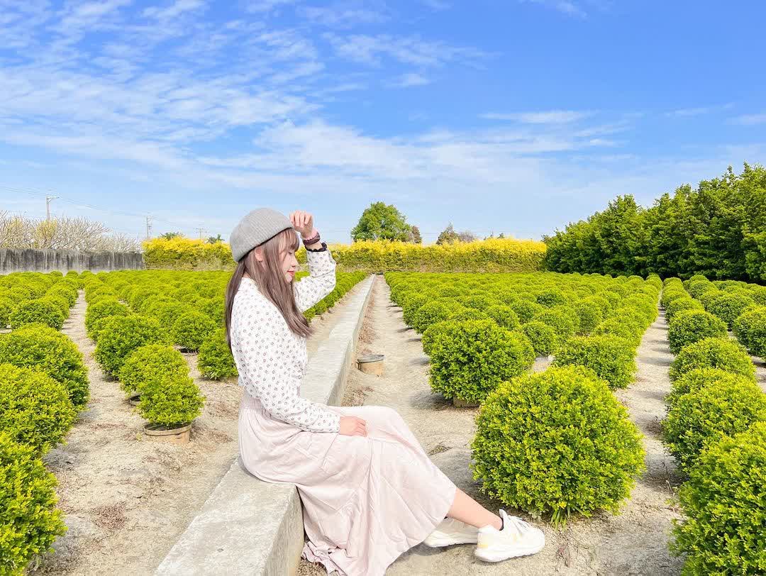 彰化田尾波波草 | 去趣 chicTrip