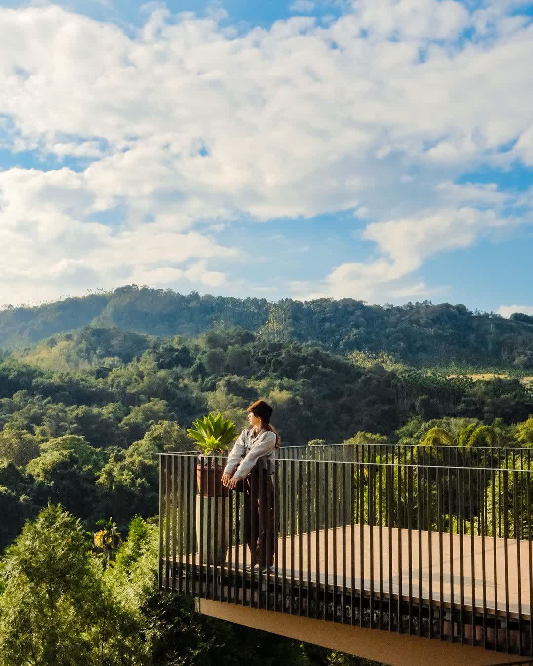 鹿篙咖啡莊園 | 去趣 chicTrip