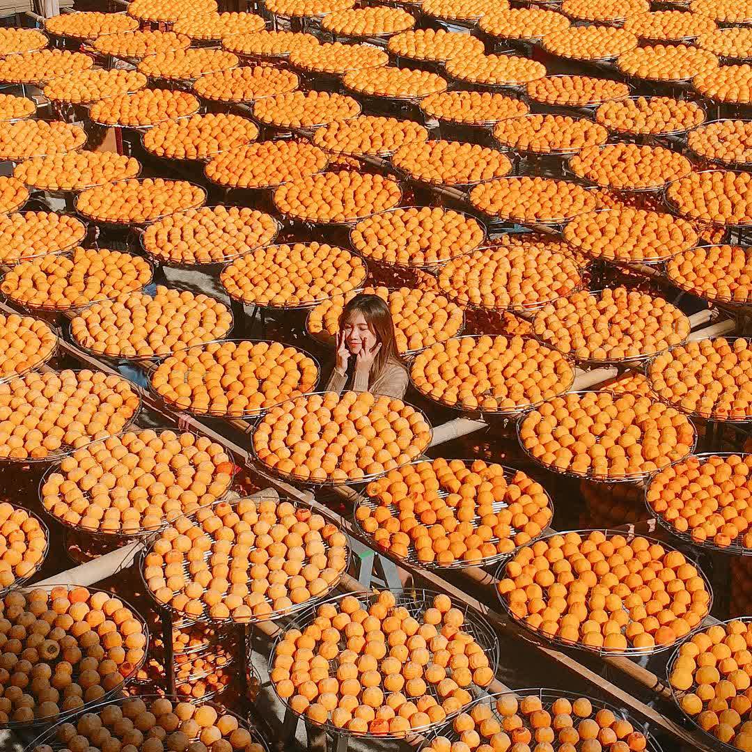 味衛佳柿餅教育農園 | 去趣 chicTrip