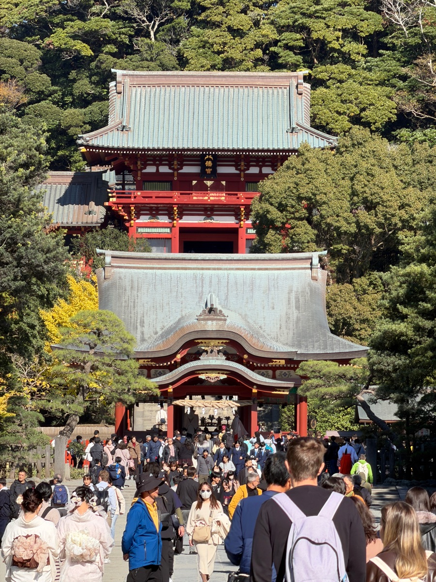 鶴岡八幡宮 | 去趣 chicTrip