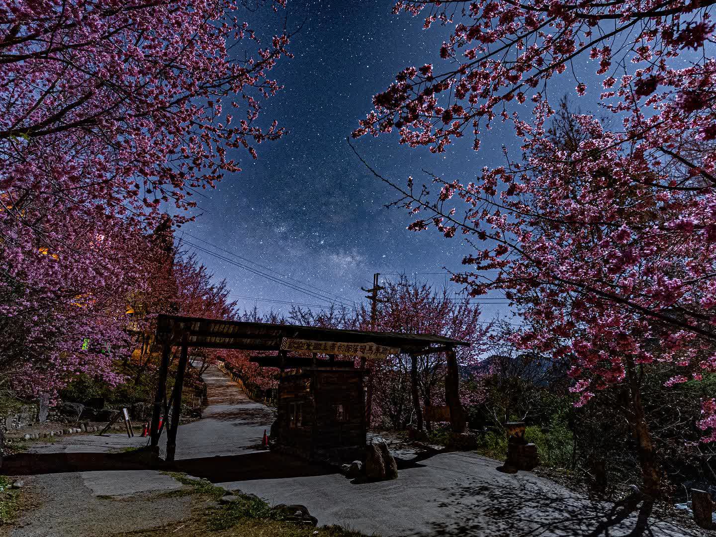 司馬庫斯 | 去趣 chicTrip