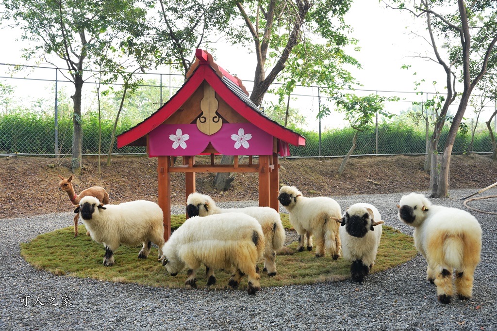 咩咩上樹萌寵樂園 | 去趣 chicTrip