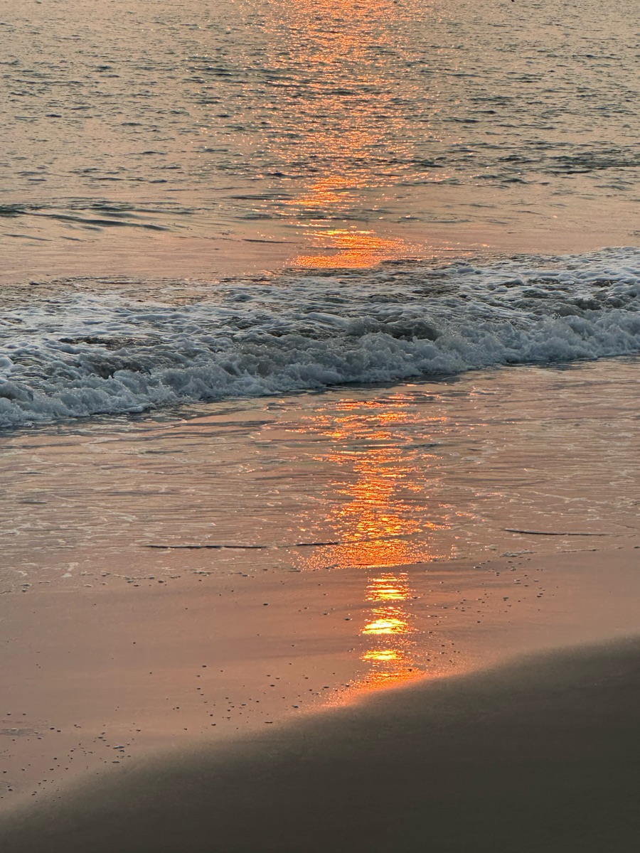 觀夕平臺 | 去趣 chicTrip