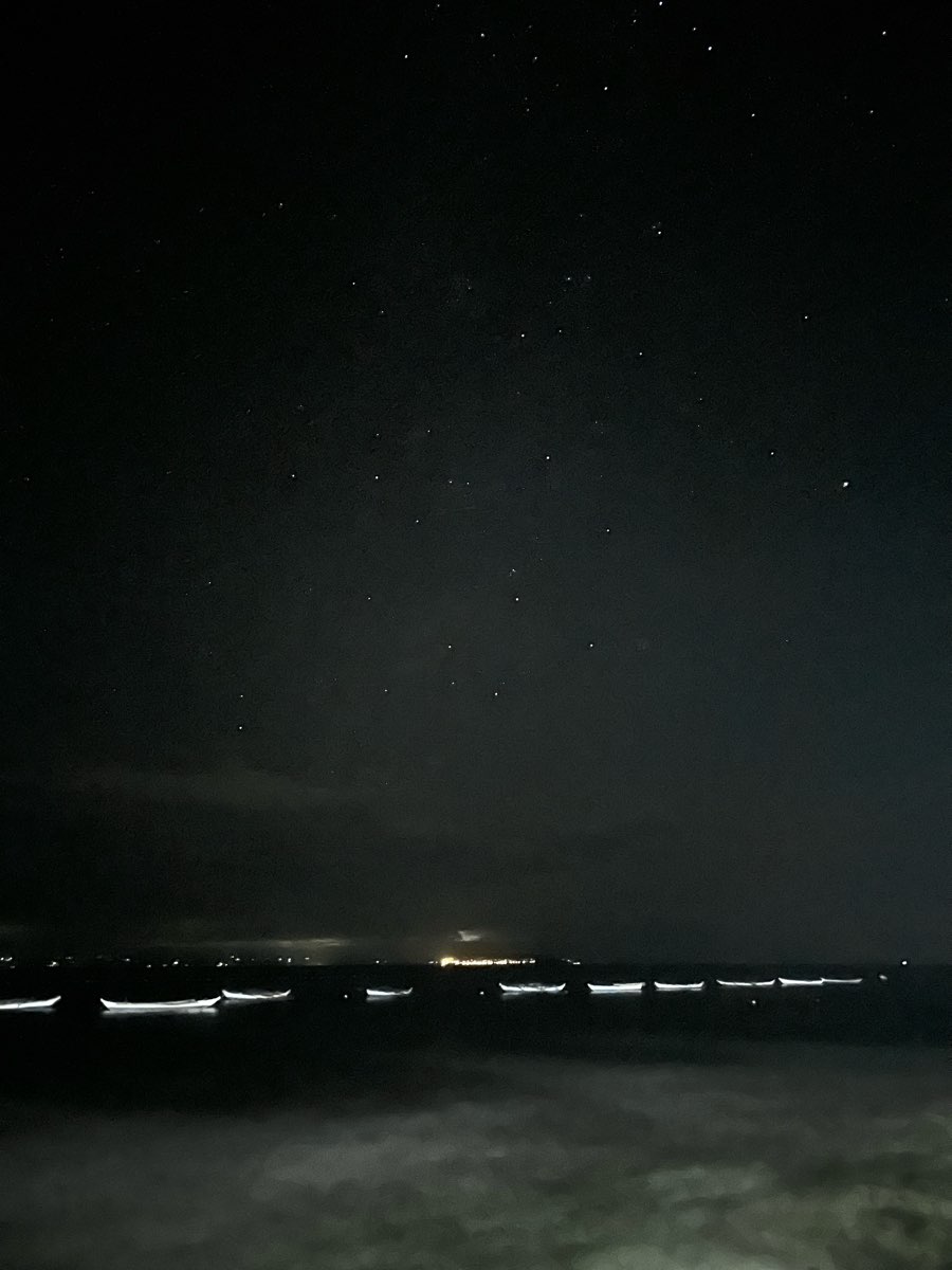 歐斯陸鯨鯊村 | 去趣 chicTrip