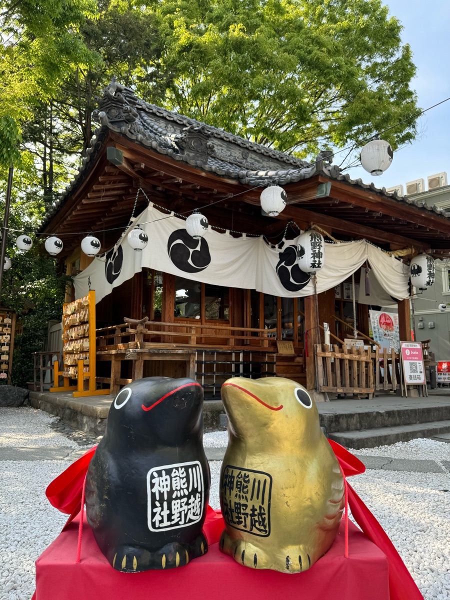 川越 熊野神社 | 去趣 chicTrip