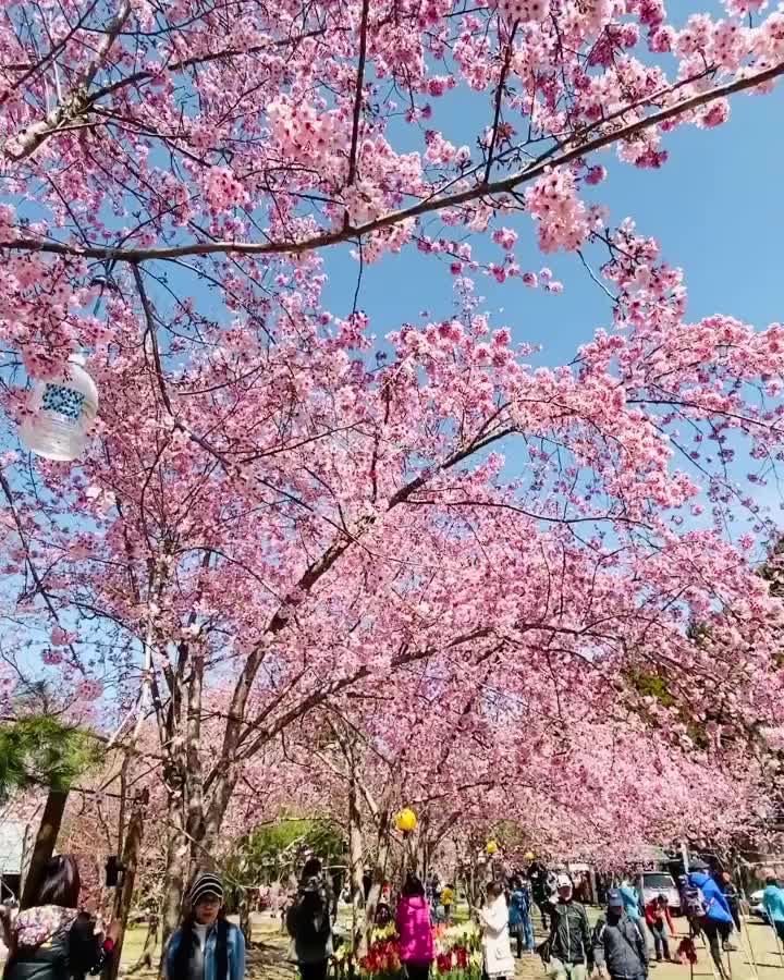 恩愛農場 | 去趣 chicTrip