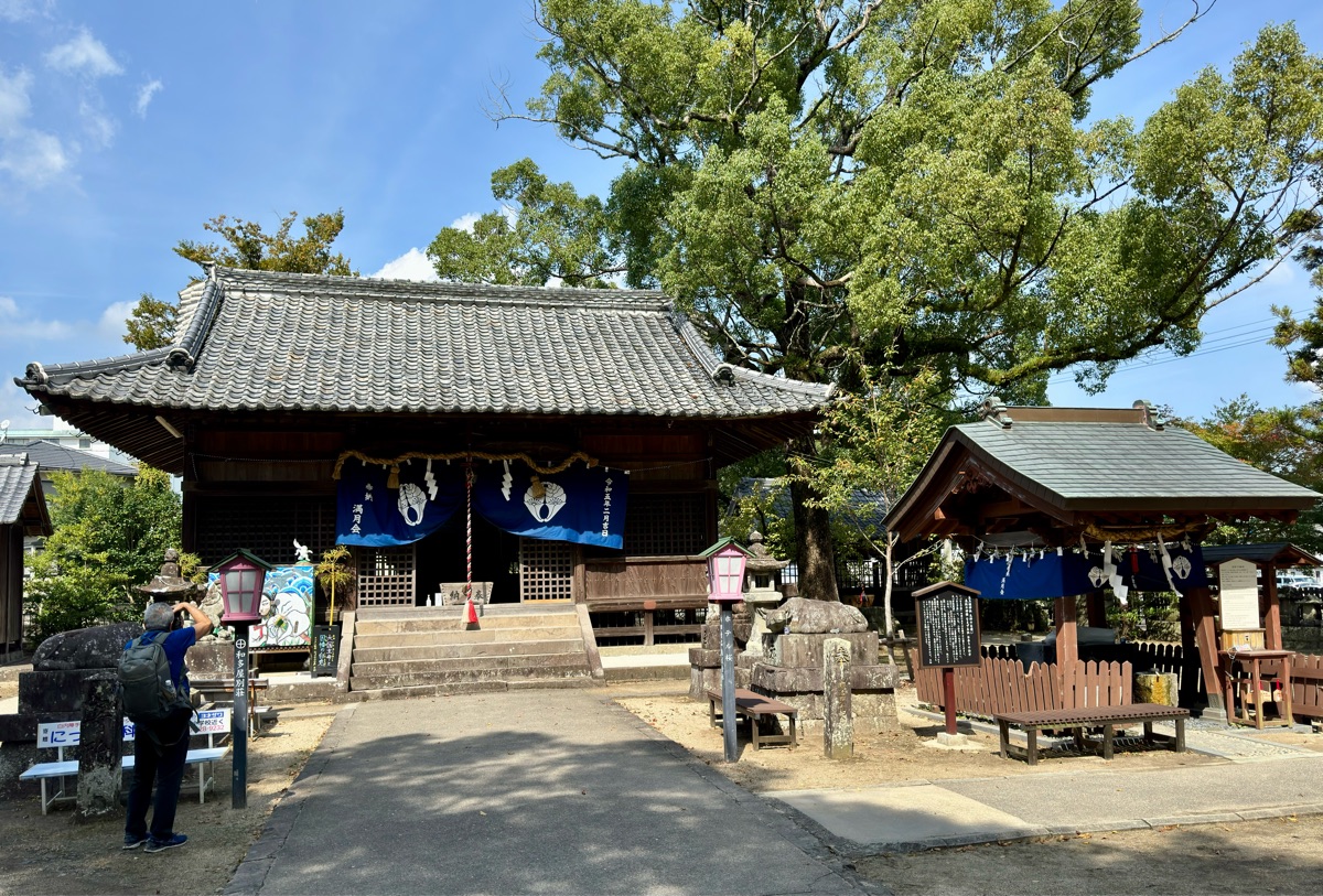 白鯰魚 豐玉姫神社 | 去趣 chicTrip