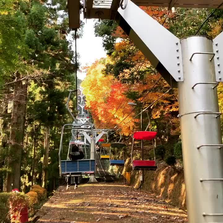 高尾山纜車 | 去趣 chicTrip