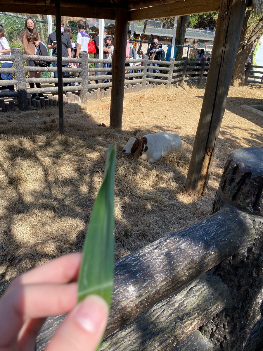 壽山動物園 | 去趣 chicTrip