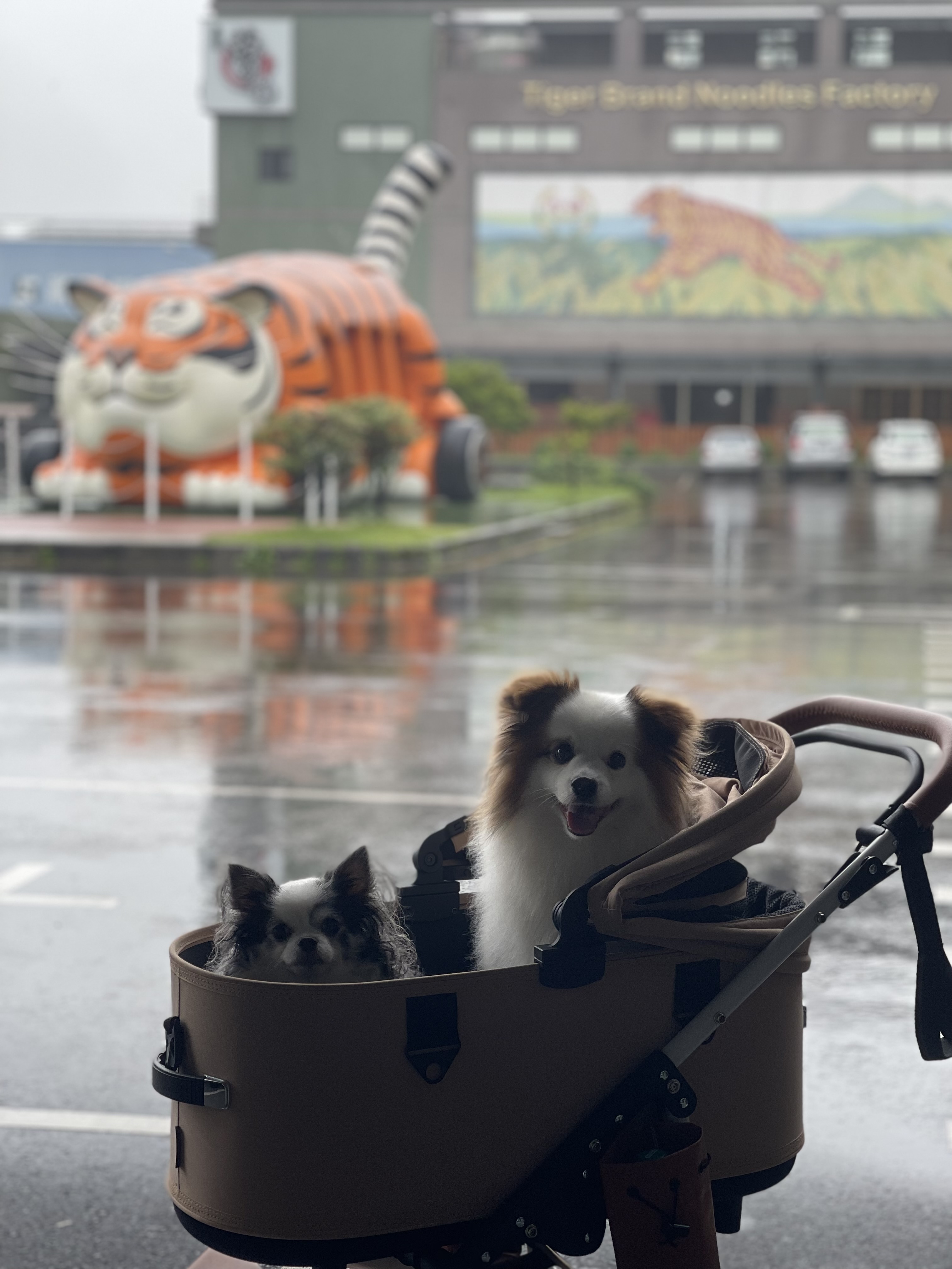 虎牌米粉那個年代觀光工廠 | 去趣 chicTrip