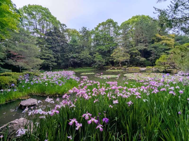平安神宮 | 去趣 chicTrip