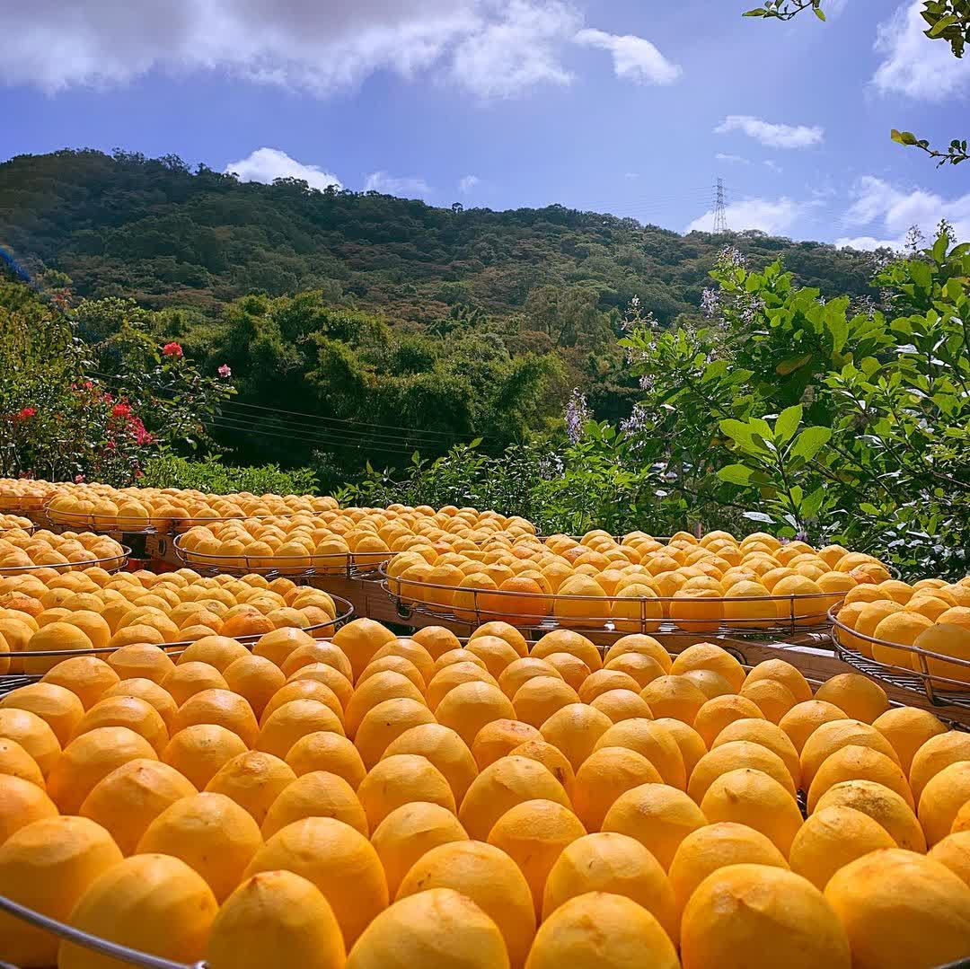 味衛佳柿餅教育農園 | 去趣 chicTrip