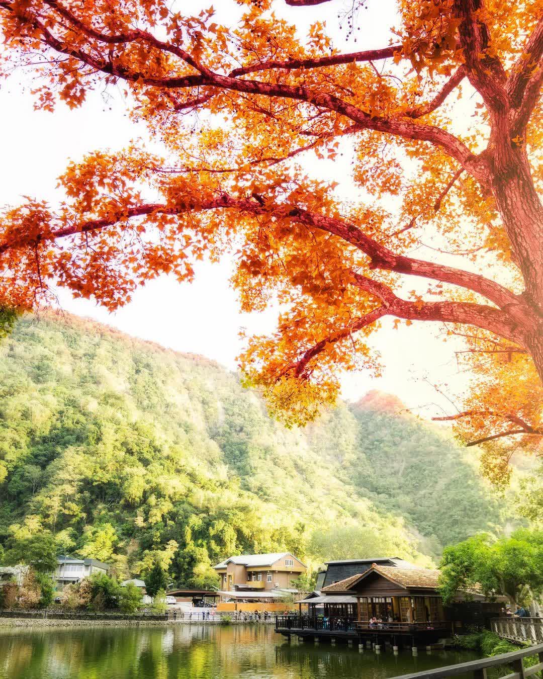 貯木池 | 去趣 chicTrip