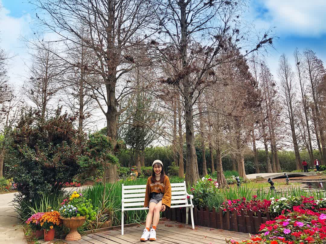菁芳園 落羽松景觀餐廳 | 去趣 chicTrip