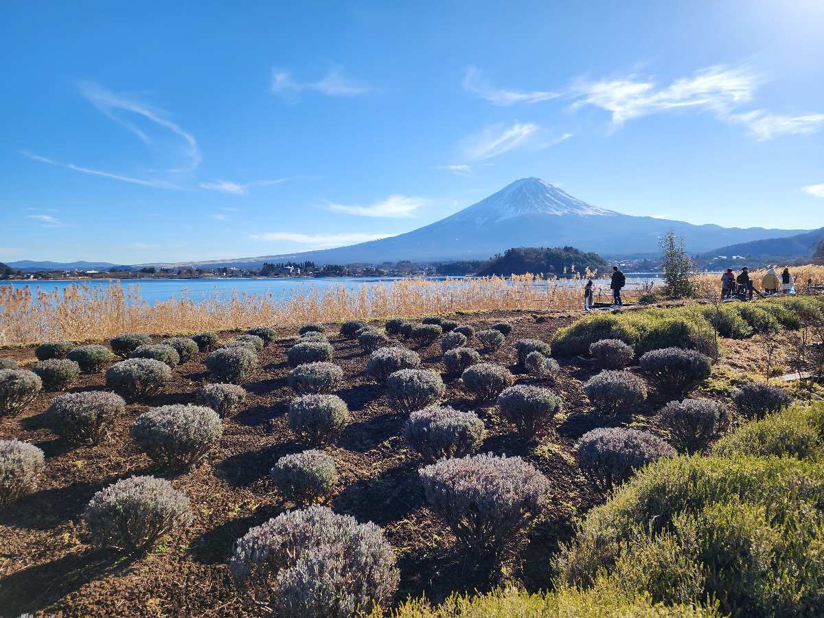 大石公園 | 去趣 chicTrip