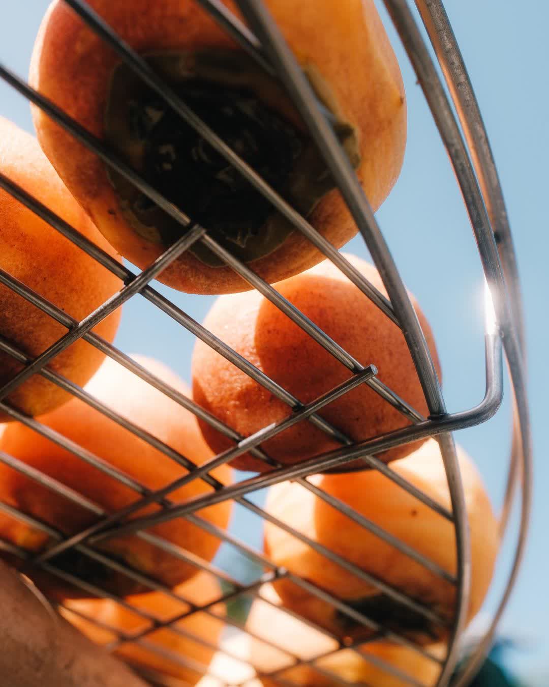 味衛佳柿餅教育農園 | 去趣 chicTrip