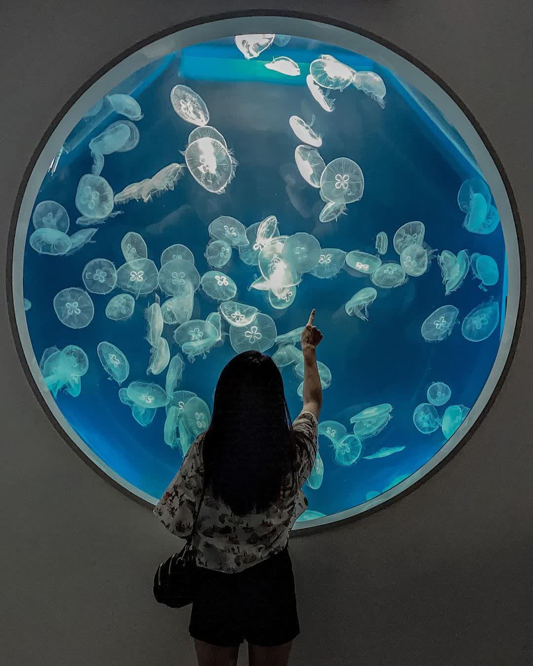 Xpark 水族館 | 去趣 chicTrip