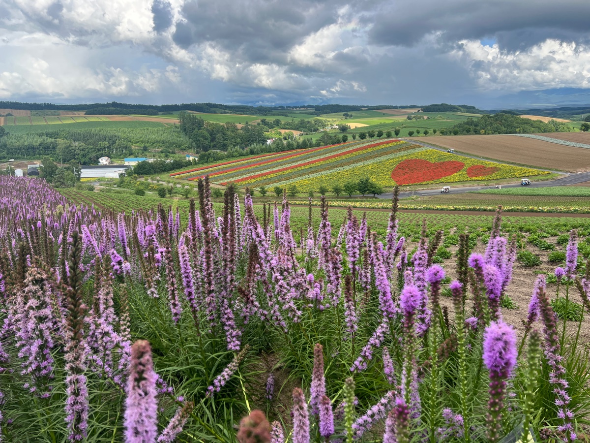 四季彩之丘 | 去趣 chicTrip