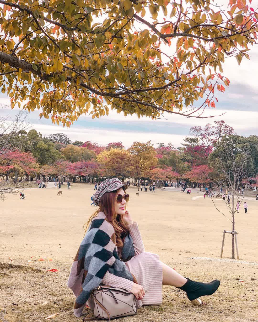 奈良公園 | 去趣 chicTrip