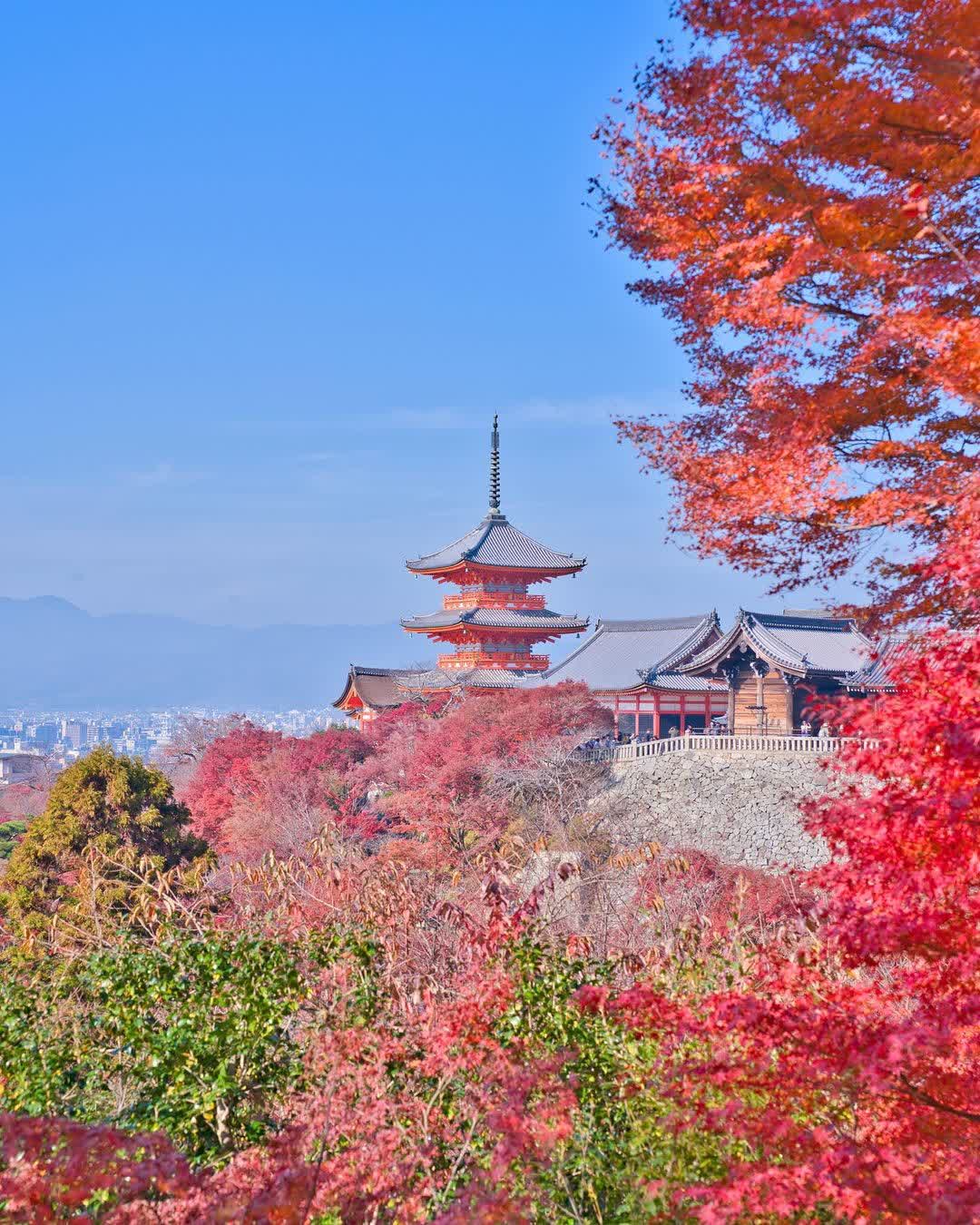 星巴克 京都二寧坂Yasaka茶屋店 | 去趣 chicTrip