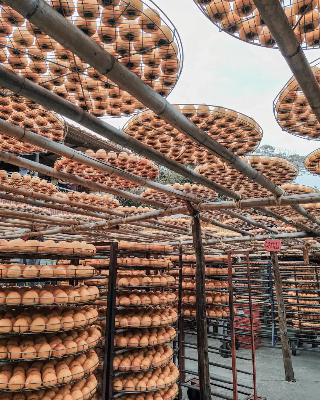 味衛佳柿餅教育農園 | 去趣 chicTrip