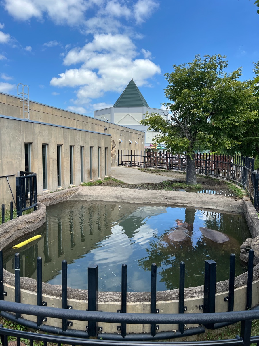 旭山動物園 | 去趣 chicTrip